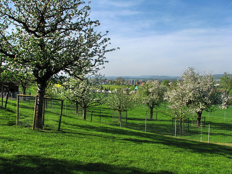 Biodiversiteit binnen onze landbouwbedrijven 